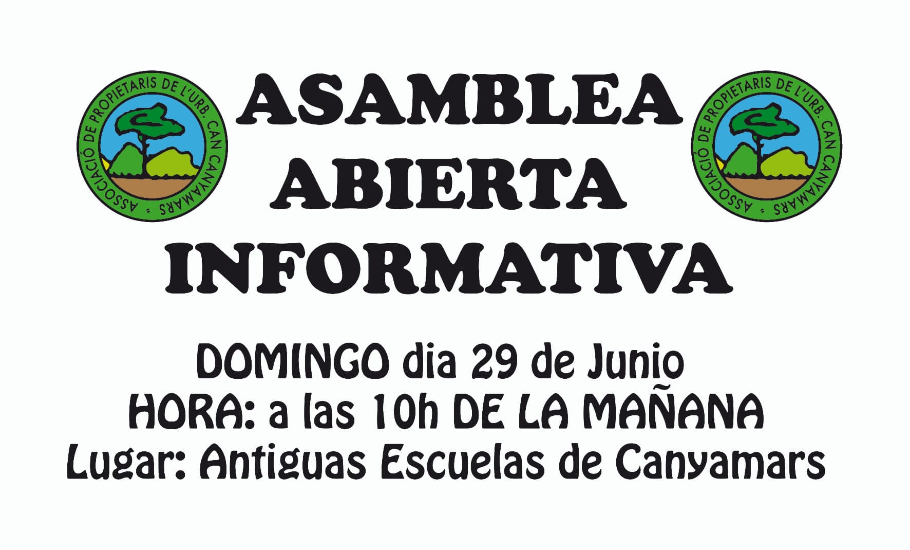 Imatge Assemblea 2